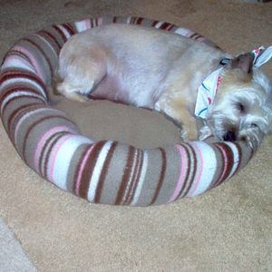 Meet your Posher, Jeannie candy